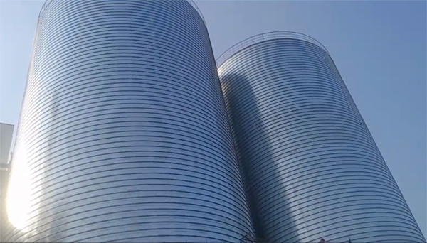 三亚2座混凝土高架卷板仓